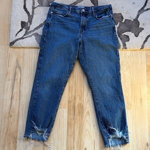 Frame Le High Straight Jeans 30